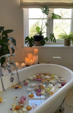 a bathtub filled with lots of cupcakes next to a window covered in candles