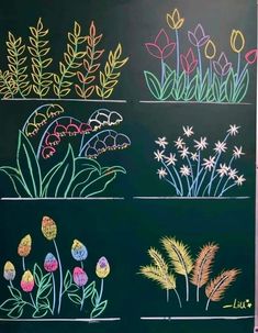 four different types of flowers drawn on a blackboard