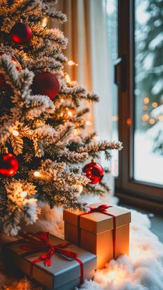 two presents under the christmas tree in front of a window