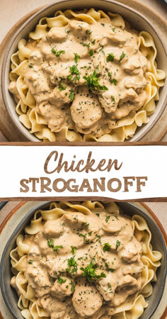 chicken stroganooffi with creamy sauce in a bowl