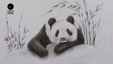 a drawing of a panda bear resting on a rock with bamboo trees in the background