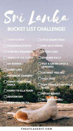 the sri lanka bucket list is shown with an orange and white dog laying on it's back