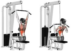 an image of a woman doing squats on a bench with the help of a machine