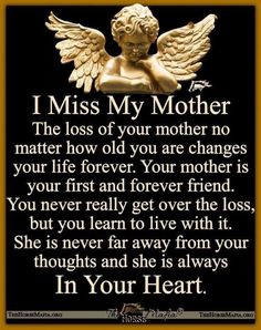 an angel with the words i miss my mother