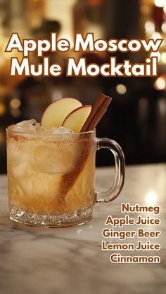 an apple moscow mule cocktail in a glass mug with cinnamon sticks and ice cubes