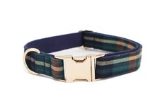 a green and blue plaid dog collar with a gold metal buckle on it's side