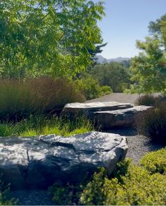 there is a rock and grass in the park