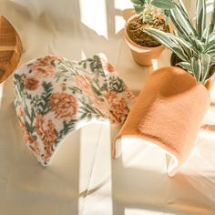 a potted plant sitting on top of a table next to a pair of oven mitts