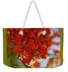 Royal Poinciana Weekender Tote Bag featuring the photograph Vibrance by Nancy… Royal Poinciana, Weekender Tote Bag, The Tote Bag, Weekender Tote, Rope Handles