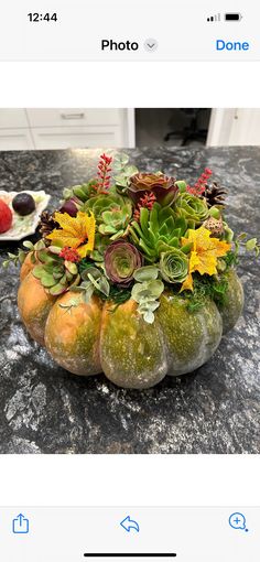 an arrangement of succulents and other plants on a table