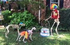 two skeletons in the yard playing with a toy horse and spinning wheel on a lawn