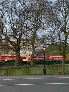 a street scene with focus on trees and buses in the background