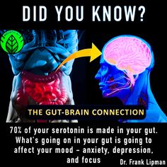 Gut Brain Connection, Gut Brain, E Mc2, Natural Health Remedies, Health Info, Health Facts, Brain Health, The Brain, Physical Health