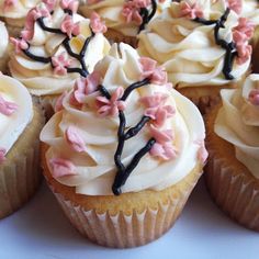 several cupcakes with white frosting and pink flowers on the top are shown