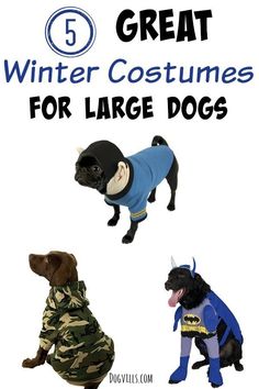 three dogs dressed up in costumes with the words 5 great winter costumes for large dogs