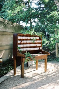 an old wooden bench with plants growing out of it's backrests in front of a tree