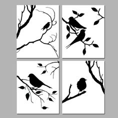 four black and white birds sitting on branches with leaves in the foreground, each one has its own silhouette