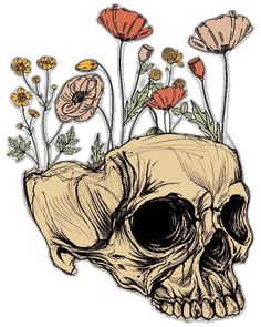 a drawing of a human skull with flowers growing out of it's head and in the background is an illustration of poppies