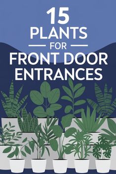 15 Plants for Front Door Entrances (US Natives). Planted Potted Plants Poster Art, White Plant Pots and Green Plants of Different Kinds