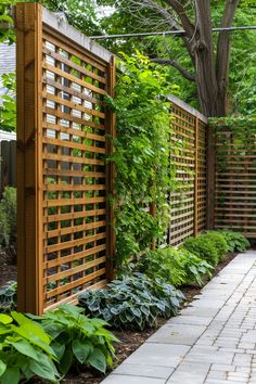 Wooden lattice fence in a garden with lush green plants and a paved walkway, leading towards tall trees in the background. Privacy Landscaping Between Houses, Pool Privacy, Backyard Privacy Ideas, Privacy Trellis, Privacy Ideas, Wooden Church, Plant Trellis, House Front Porch, Privacy Fence Designs