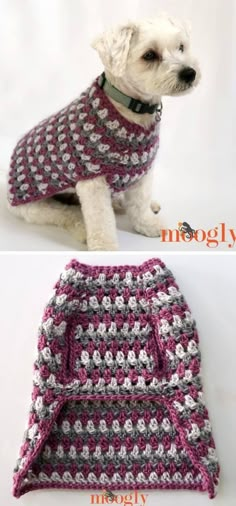 two pictures of a dog wearing a sweater