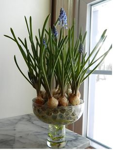 a vase filled with plants and rocks on top of a table next to a window