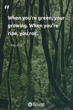 trees with the quote when you're green, your growing, when you're ripe, you root