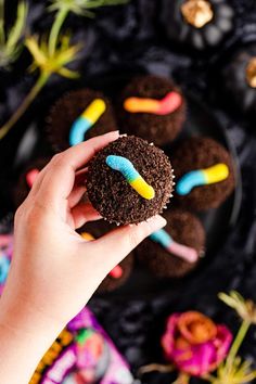 a hand holding a chocolate cupcake with colorful frosting and candy worms on it