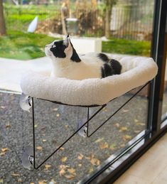 a black and white cat laying on top of a bed in front of a window