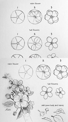 the steps in how to draw flowers