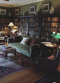 a living room filled with furniture and bookshelves covered in lots of bookcases