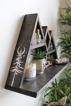 a shelf that has some plants and candles on it