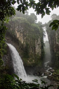 a large waterfall in the middle of a forest