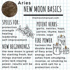 Leo Full Moon, Pisces Full Moon, Zodiac Magic, Witchcraft Basics, Zodiac Moon, Pisces Season, Witch Things