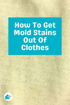 how to get mold stains out of clothes with the help of an appliance