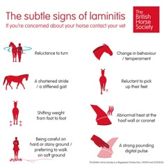 a poster with instructions on how to use the symbols for an animal's body