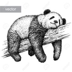 a black and white drawing of a panda bear resting on a log