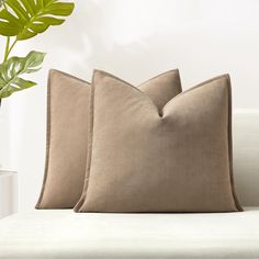 two pillows sitting on top of a white couch next to a potted green plant