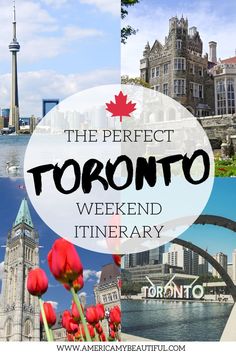 the perfect toronto weekend itinerary with red tulips and buildings in the background