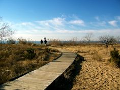 two people are walking on a boardwalk near the water and dry grass in the foreground