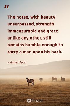 horses standing in the middle of a field with a quote on it that reads, the horse, with beauty unparased, strength immeasable and grace