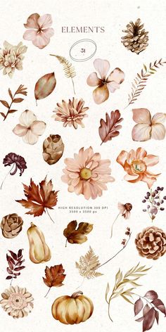 an illustration of flowers and leaves with the words elements on it's bottom right corner