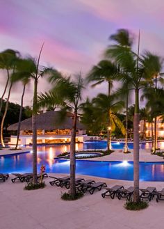 an outdoor swimming pool surrounded by palm trees and lights at dusk with lounge chairs around it