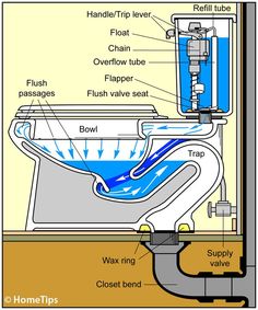 a diagram showing the parts of a toilet and how to use it for cleaning or disinfection