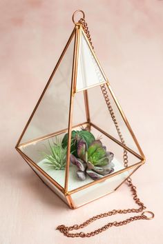 a glass terrarium filled with plants and hanging from a chain on a pink surface