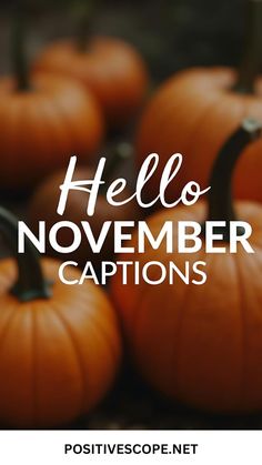 pumpkins with the words hello november captions