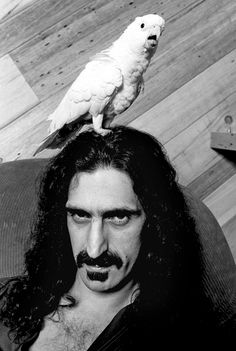 a man with long hair sitting on top of a parrot