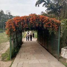 people are walking under an orange flower covered archway