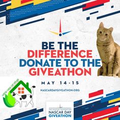 a poster with a cat sitting on top of it and the words, be the difference donation to the giveathon