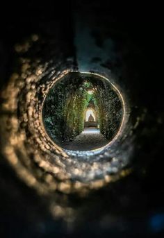 a tunnel in the middle of a forest filled with trees